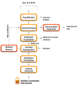 Methyl Ester Route