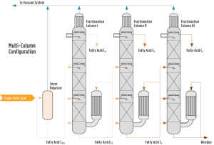 Fractional Distillation of Fatty Acids