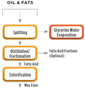 Preparation of Wax Esters