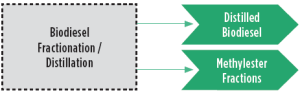 Methyl Ester Fractionation